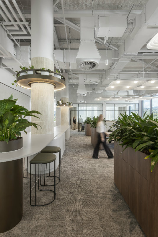 The office features a harmonious balance of open-plan collaborative spaces and intimate, private nooks, supporting a variety of working styles