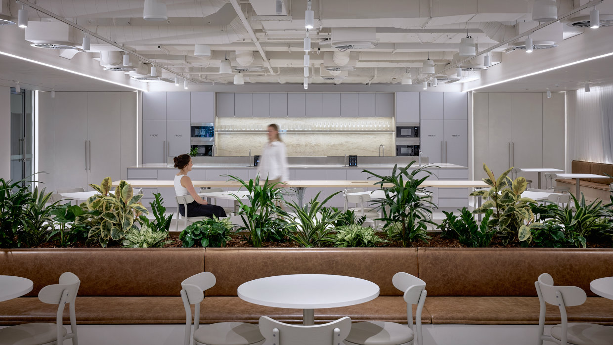 seamlessly linking client spaces with staff amenities and fostering a sense of openness