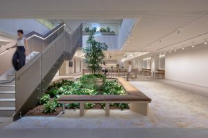WMK’s agile planning strategy centered on the introduction of a central interconnecting stair