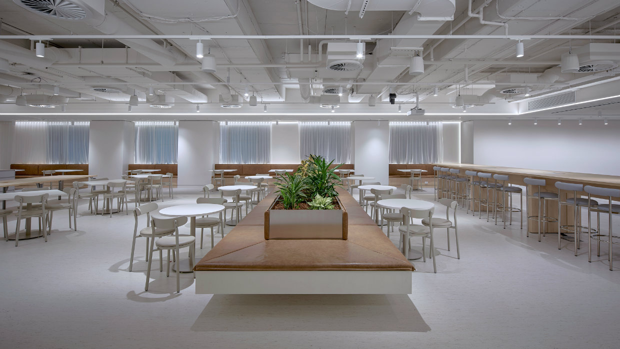 a flexible, track-based lighting solution tailored to the multifunctional needs of the space